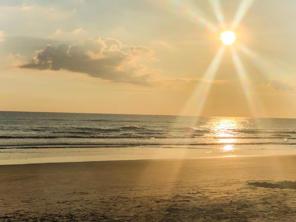 Sand Dollar Condominiums Daytona Beach Shores Luaran gambar