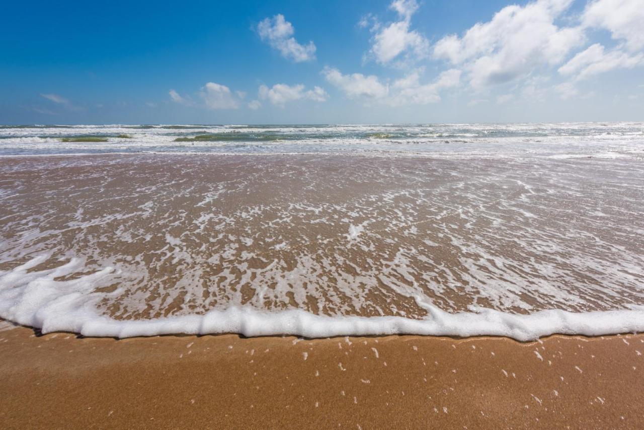 Sand Dollar Condominiums Daytona Beach Shores Luaran gambar